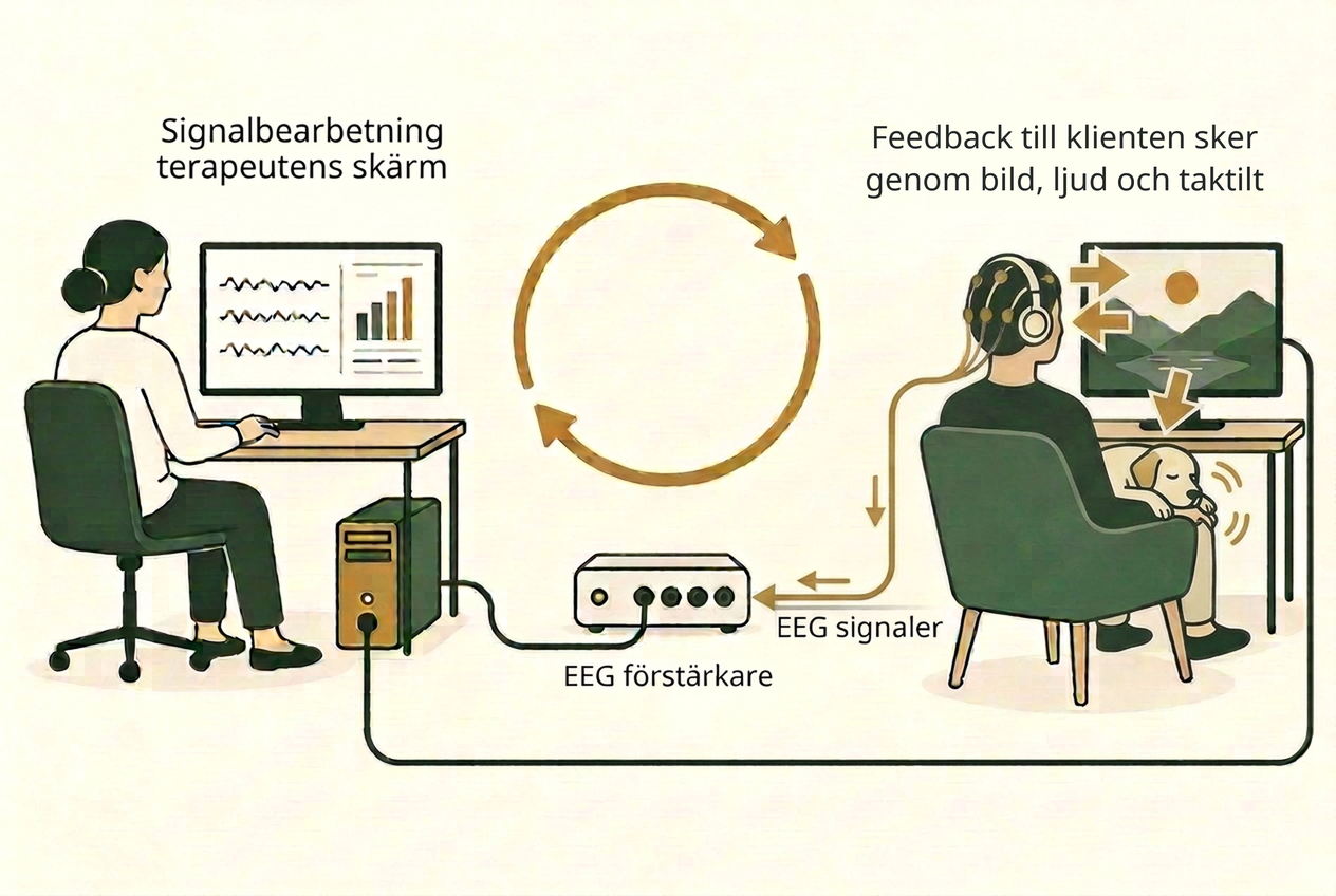 Schematisk illustration av neurofeedback: EEG-signaler förstärks och bearbetas av terapeuten, medan klienten får återkoppling på skärmen